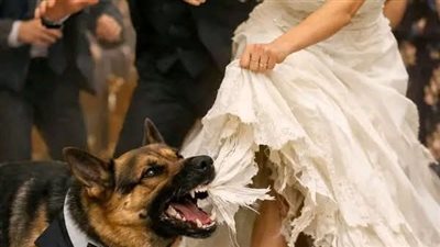 قصه مشوقه 
